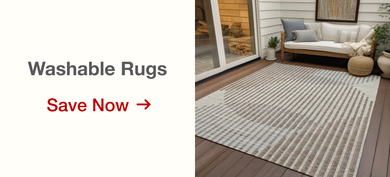 Shop Washable Rugs on Sale