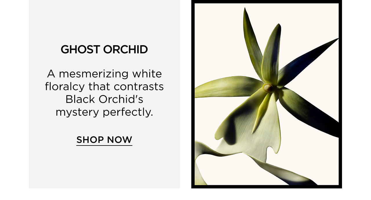 GHOST ORCHID - A mesmerizing white floralcy that contrasts Black Orchid's mystery perfectly. | SHOP NOW