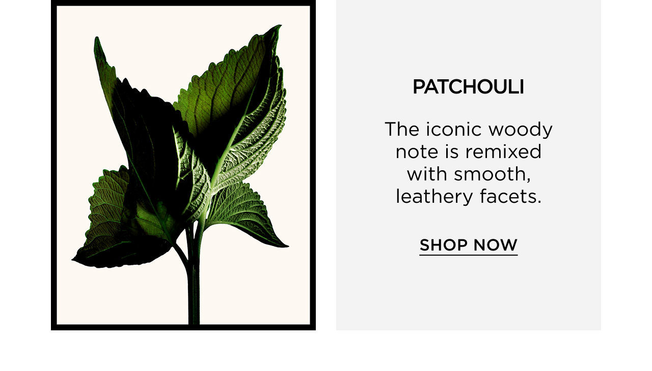 PATCHOULI - The iconic woody note is remixed with smooth, leathery facets. | SHOP NOW