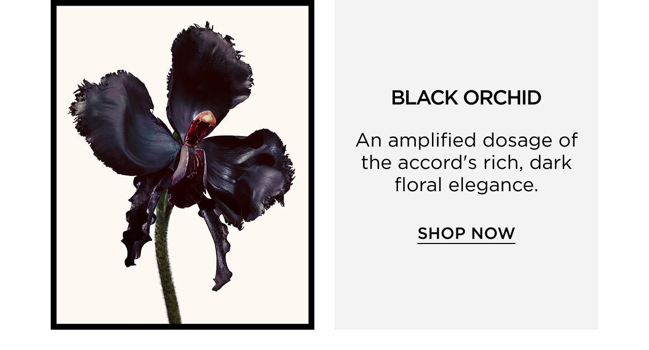 BLACK ORCHID - An amplified dosage of the accord's rich, dark floral elegance. | SHOP NOW