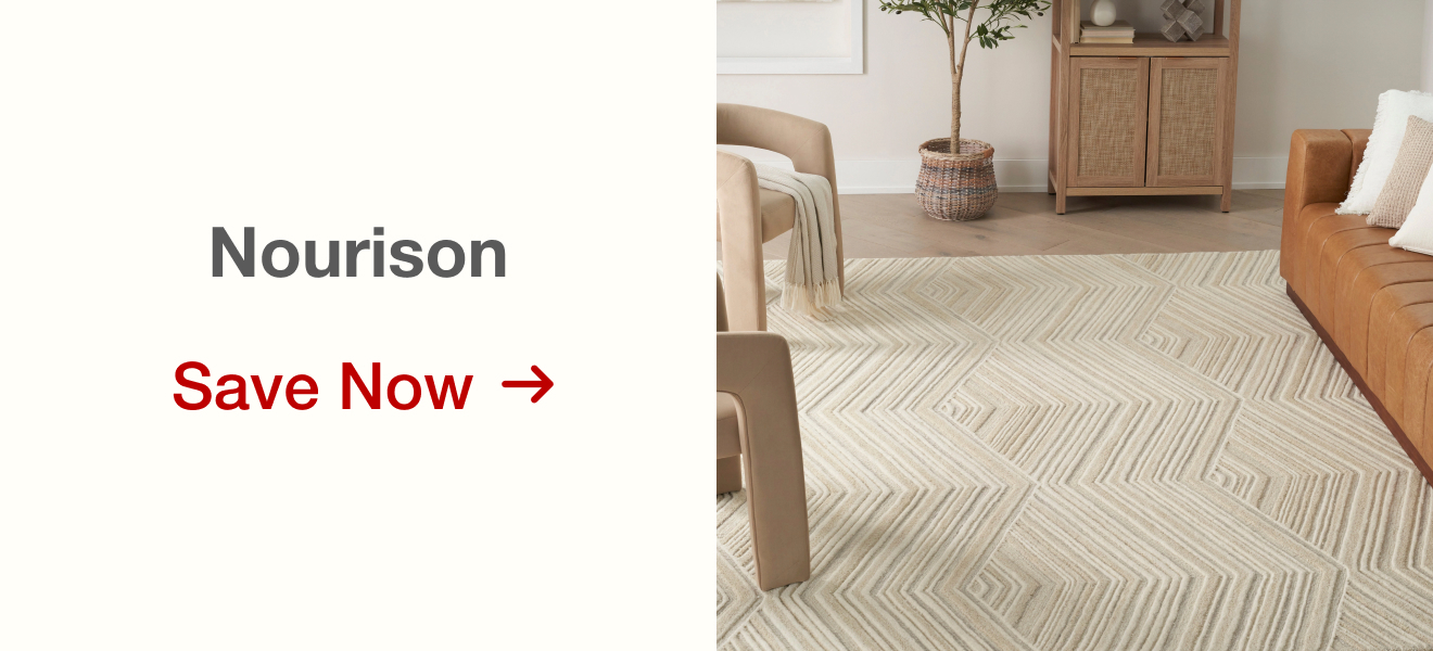 Save on Nourison Rugs
