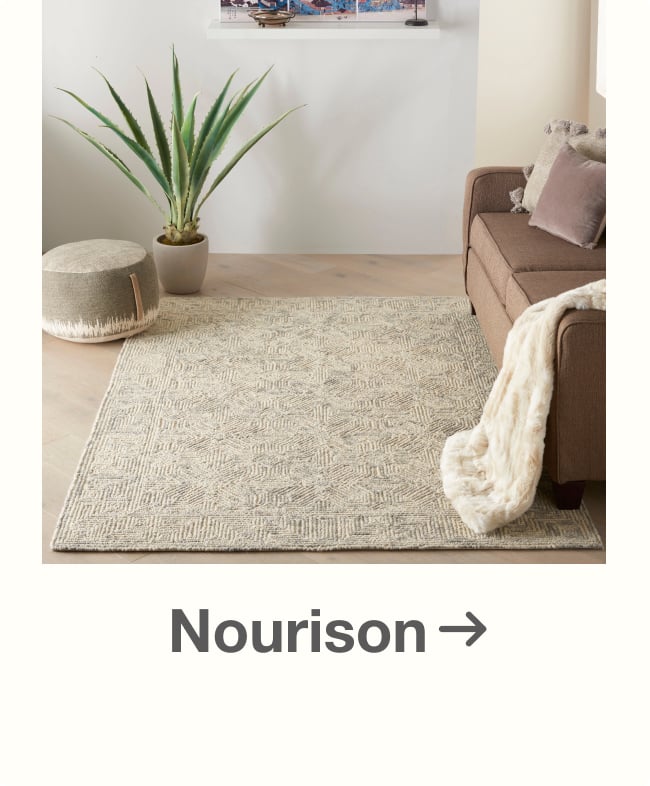 Save on Nourison Rugs