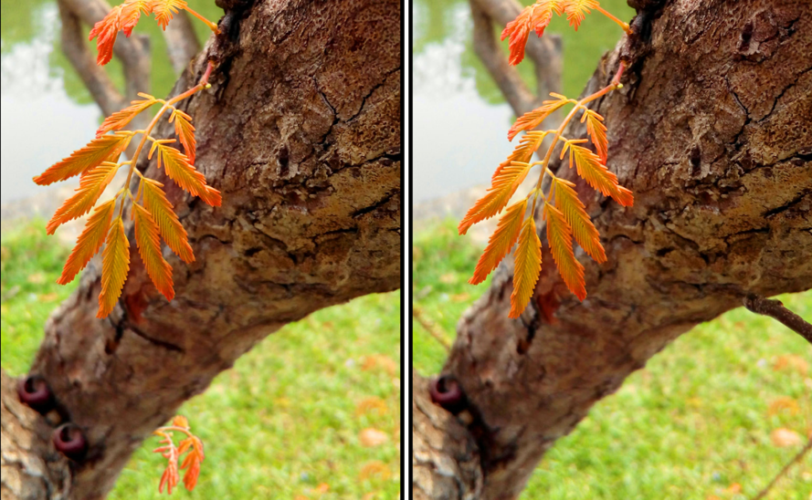 Play Spot the Difference