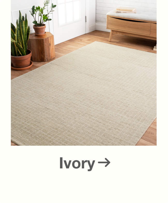 Ivory Rugs on Sale