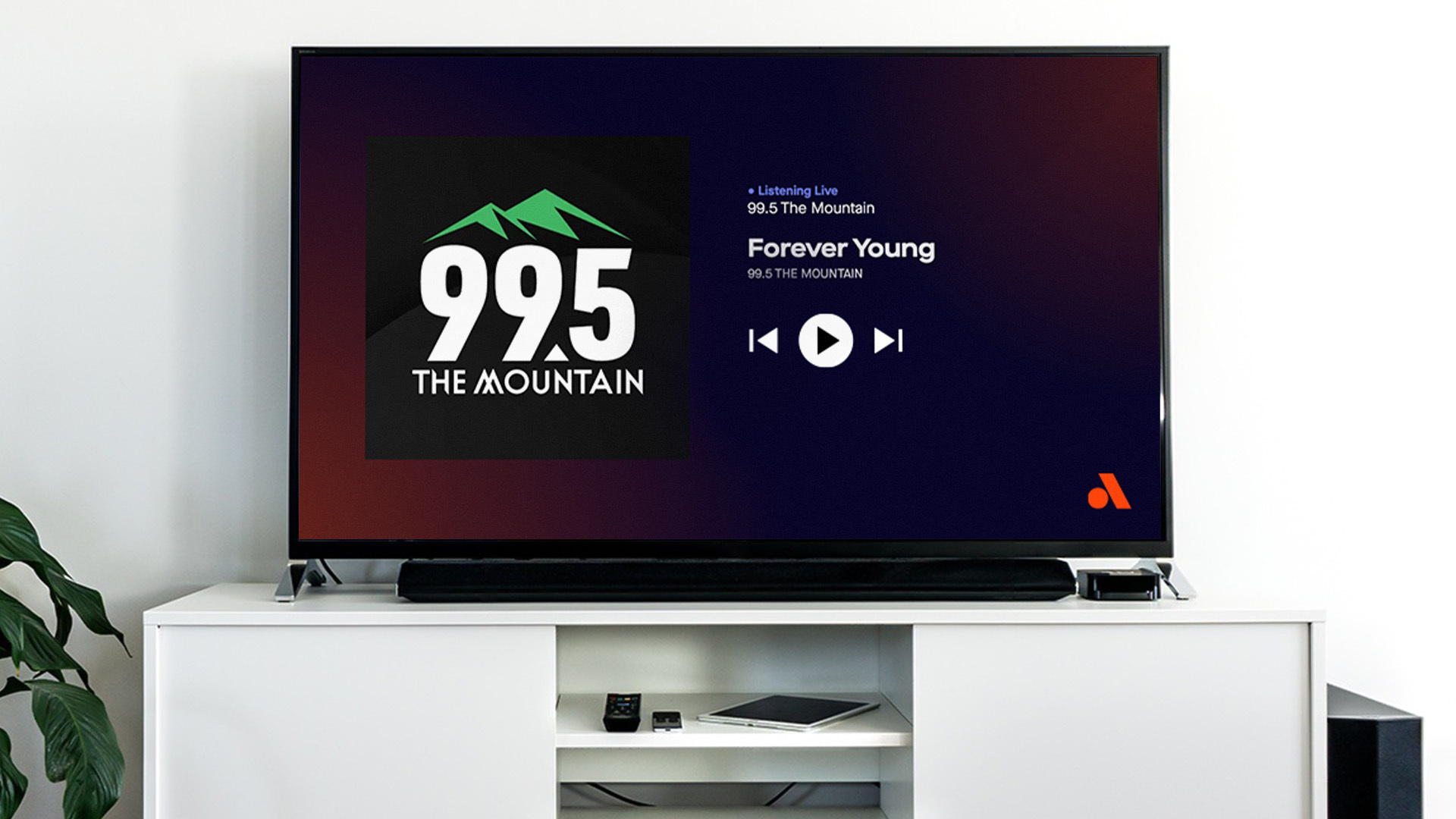 Streaming Devices