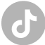 icon tiktok