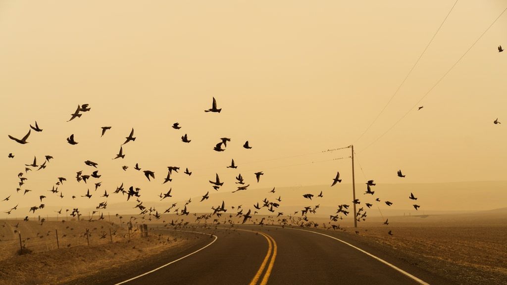 The Sun Sets Midafternoon, a photobook by Jessica Hays