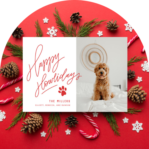 Photo of a pet Christmas card