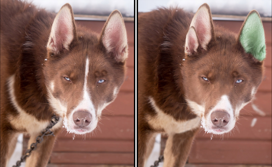 Play Spot the Difference