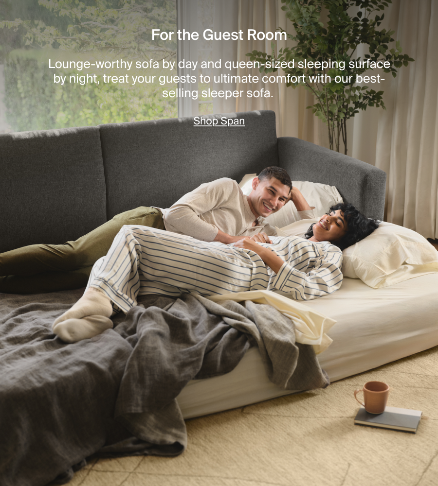  Span Sleeper Sofa