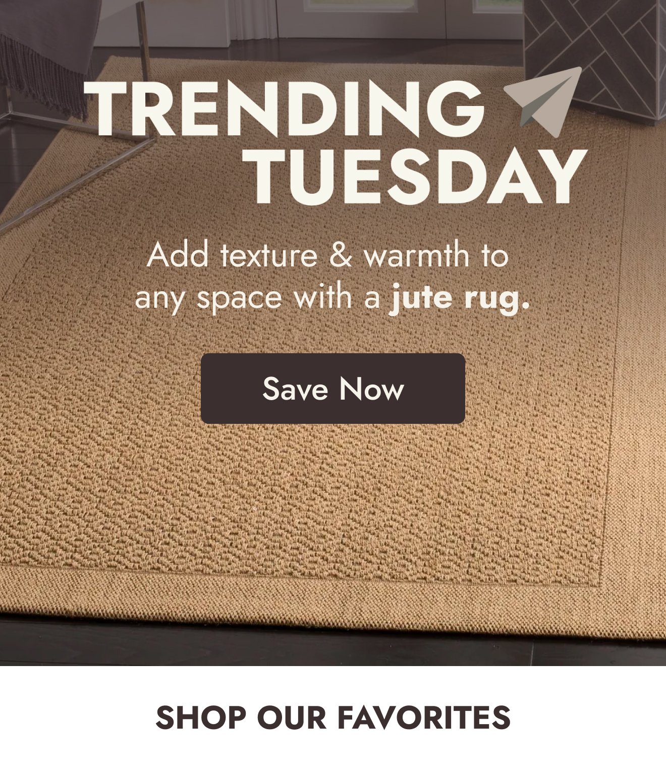 Trending Tuesday Jute Rugs