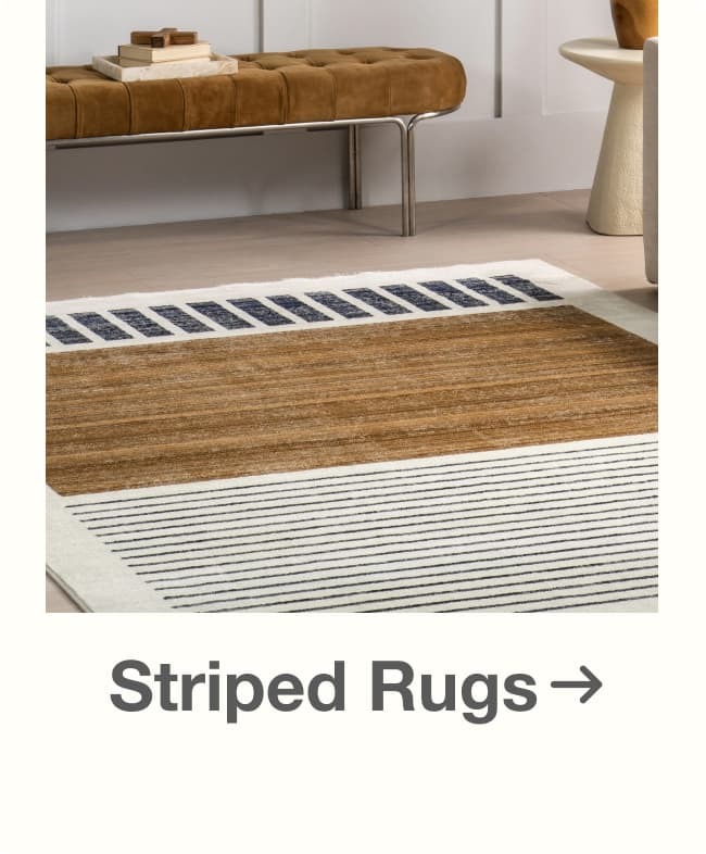 Shop Striped Rugs