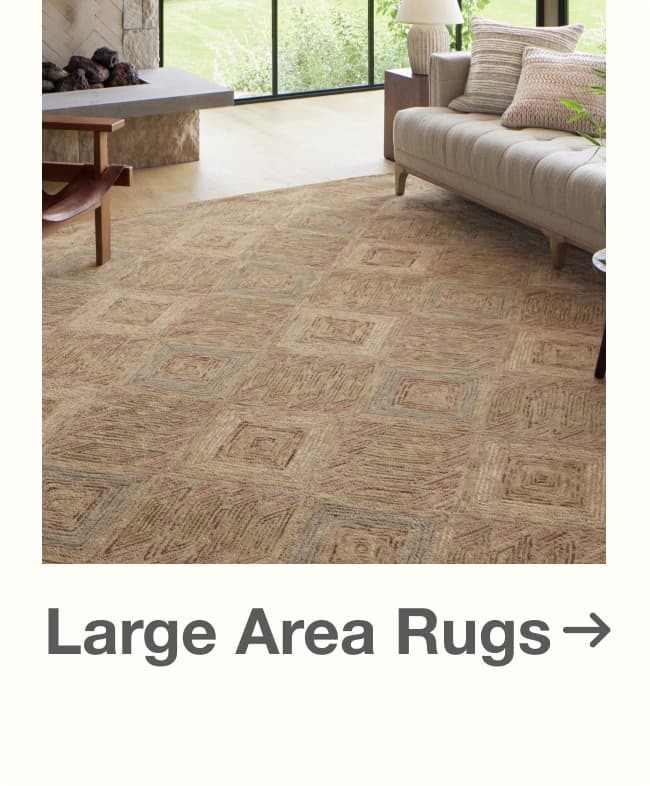 Shop Large Area Rugs