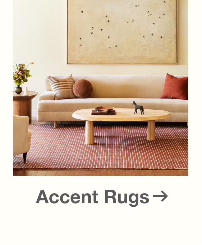 Shop Accent Rugs