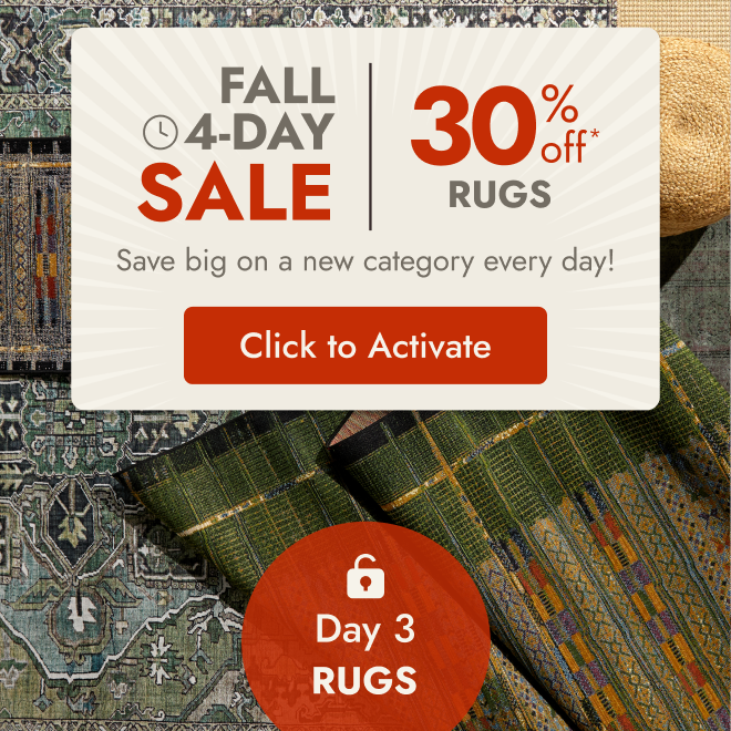 30% off rugs–today only!