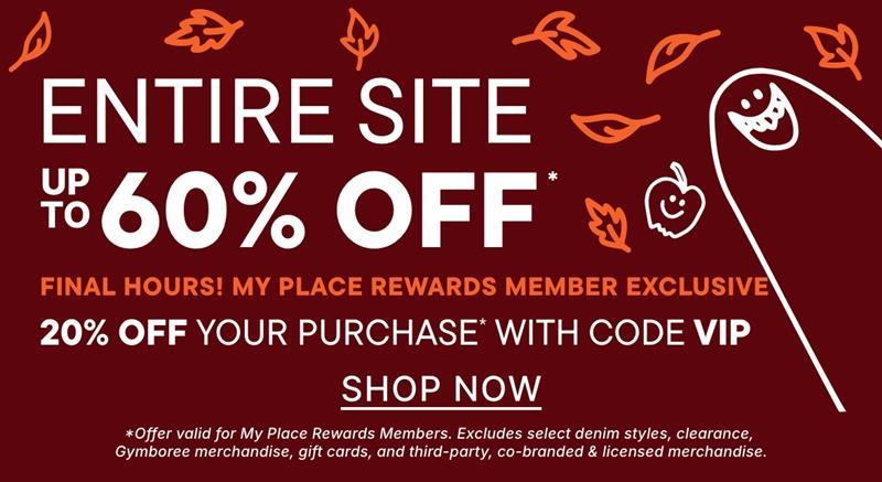 20% off your purchase with code VIP