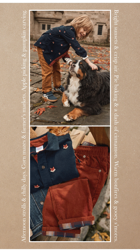 Shop Fall