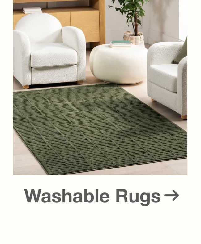 Shop Washable Rugs