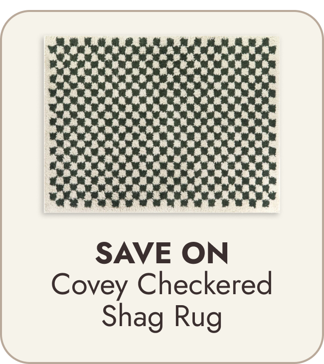 Covey Plush Checkered Thick Shag Area Rug