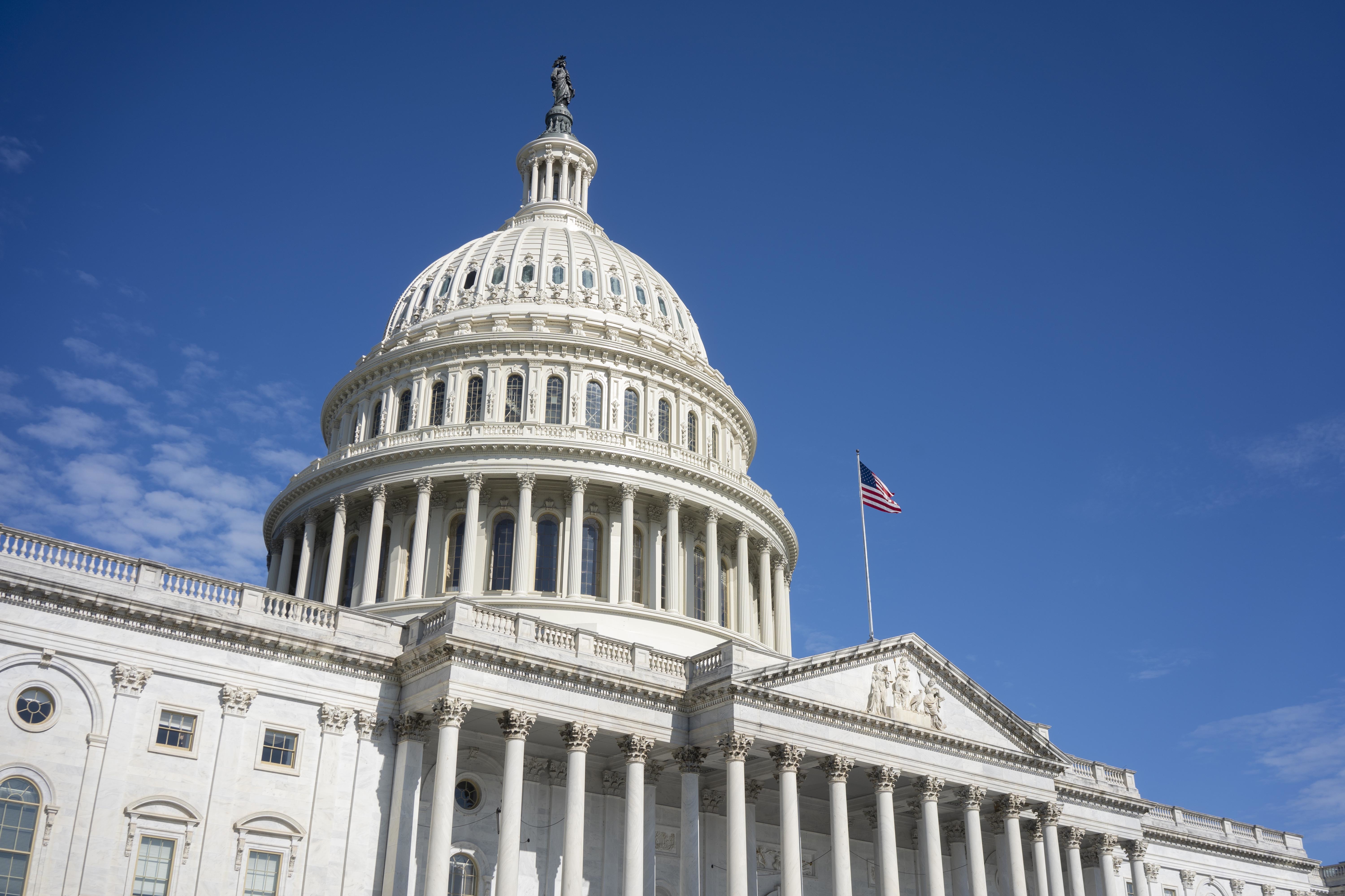 The Government Shutdown