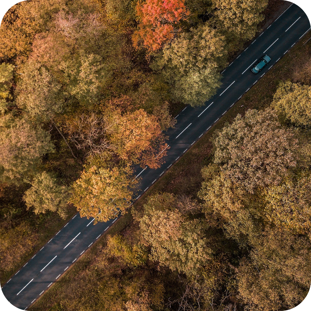 Autumn / Fall