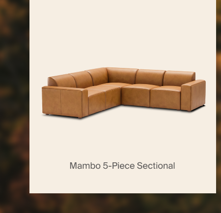 Mambo 5-Piece Sectional