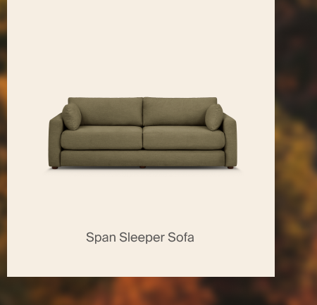Span Sleeper Sofa