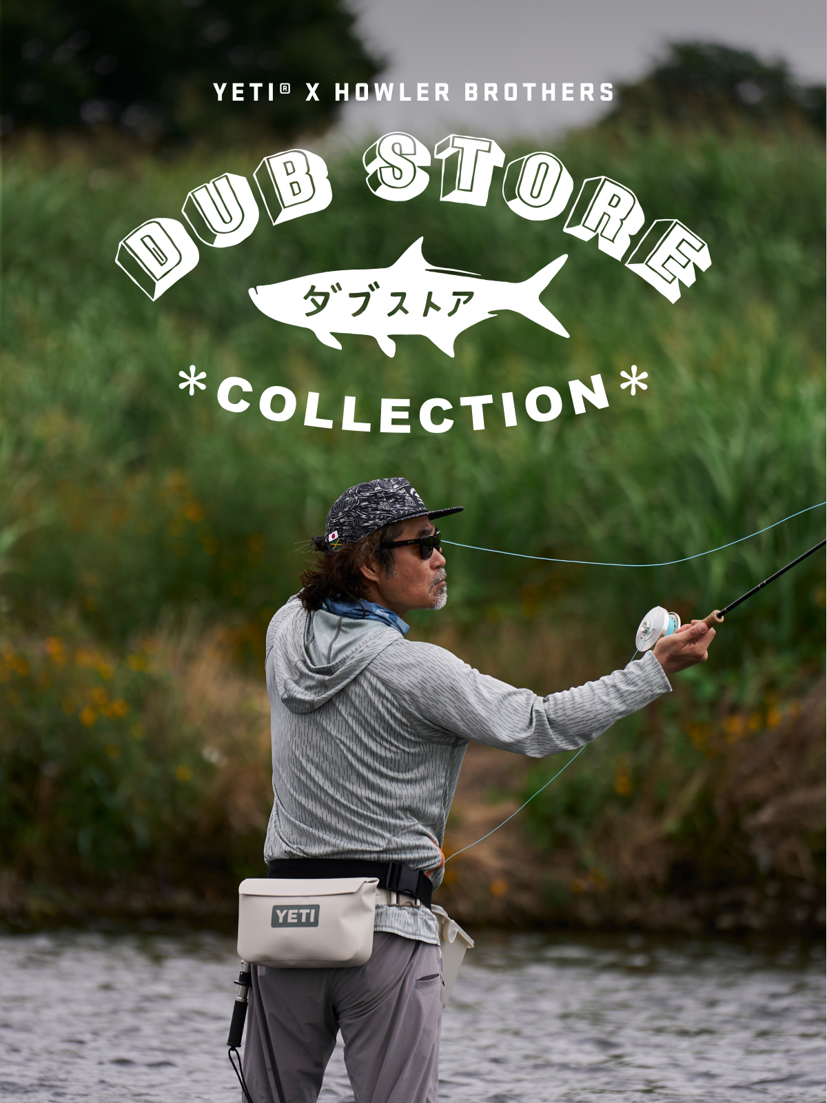 Meet Our New Collection