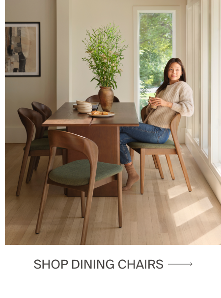 Shop Dining Chairs