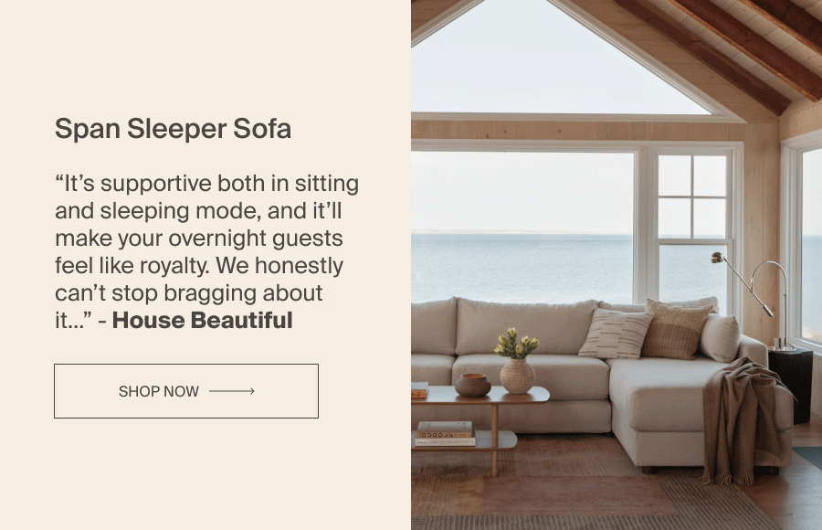 Span Sleeper Sofa