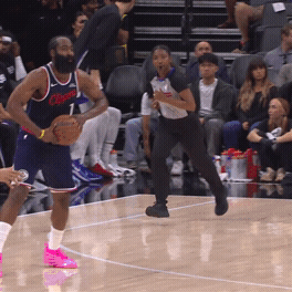 James Harden, Derrick Jones Jr.
