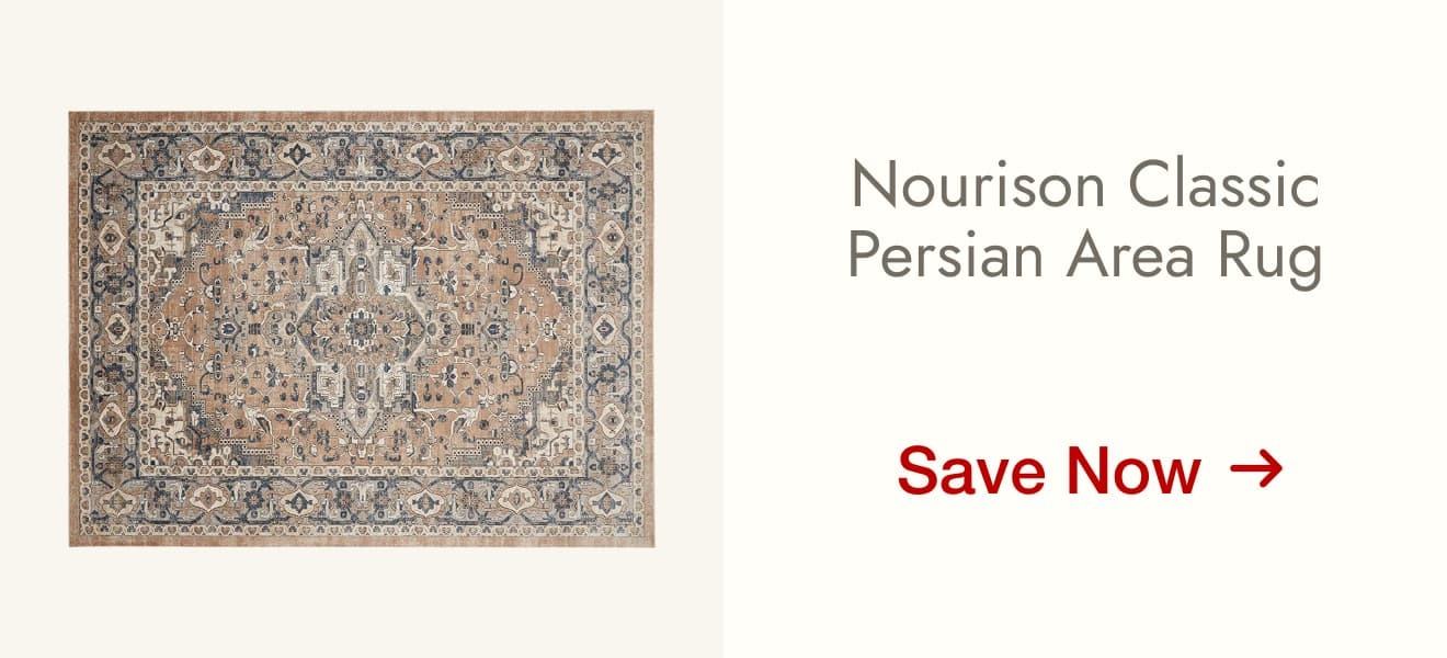 Nourison Classic Persian Area Rug