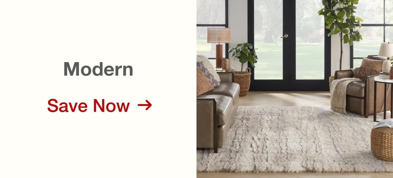 Shop Modern Rugs on Sale