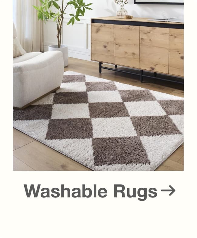Shop Washable Rugs on Sale