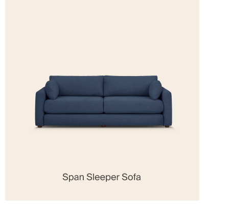 Span Sleeper Sofa
