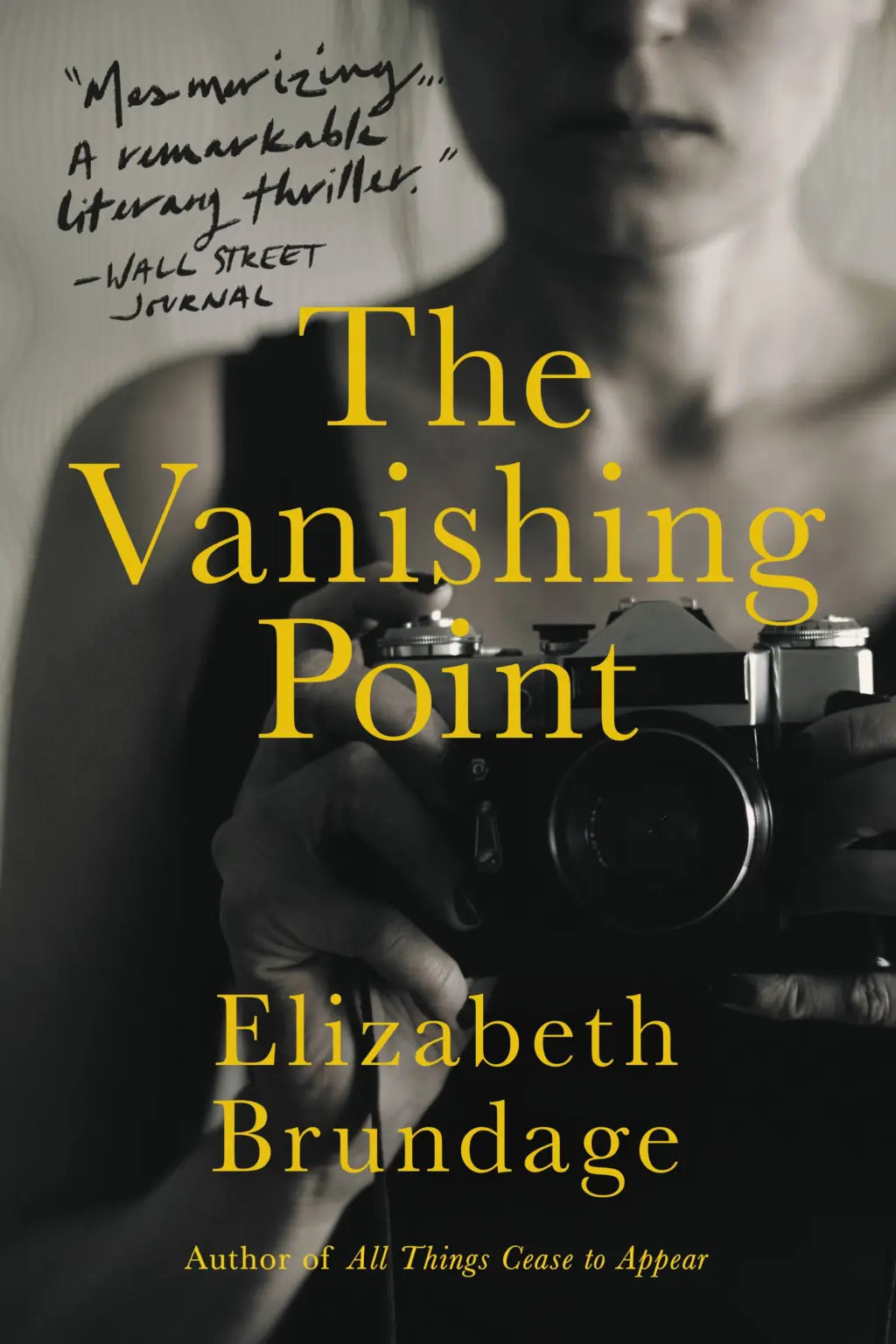 The Vanishing Point book cover