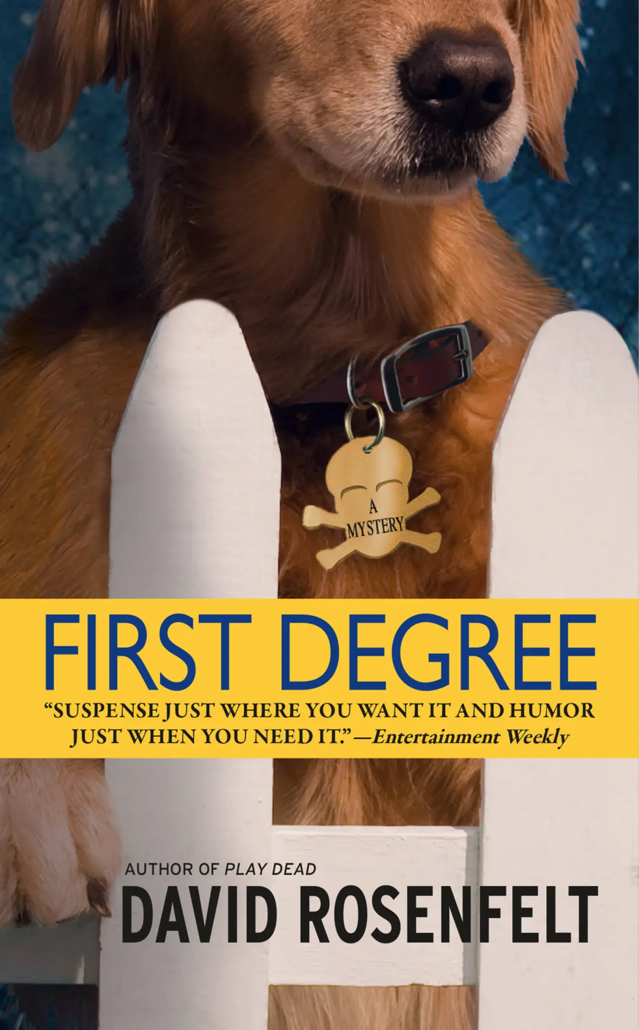 First Degree book cover