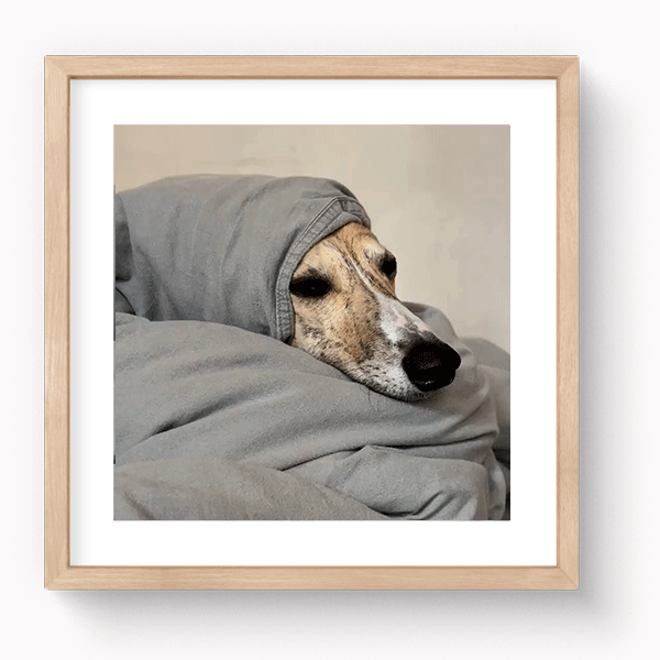 [Mixtiles] It ain't the holiday season without Mixtiles | ORDER NOW