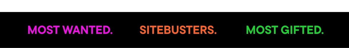 Black Friday Sitebusters