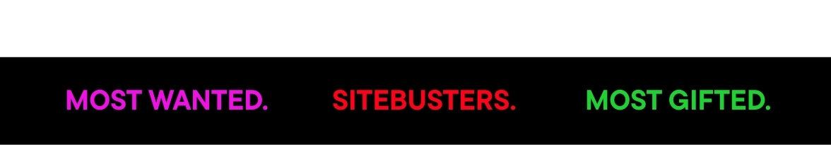 Bright Friday Sitebusters