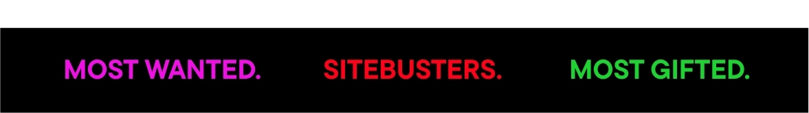 Bright Friday Sitebusters