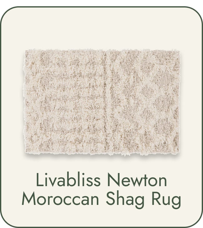 Livabliss Newton Geometric Moroccan Trellis Shag Area Rug