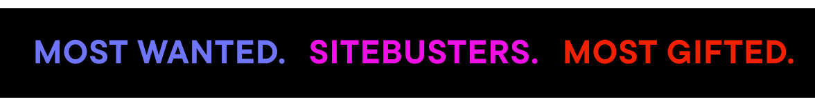 Bright Friday Sitebusters