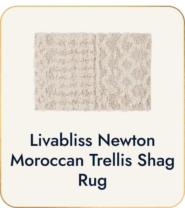 Livabliss Newton Geometric Moroccan Trellis Shag Area Rug