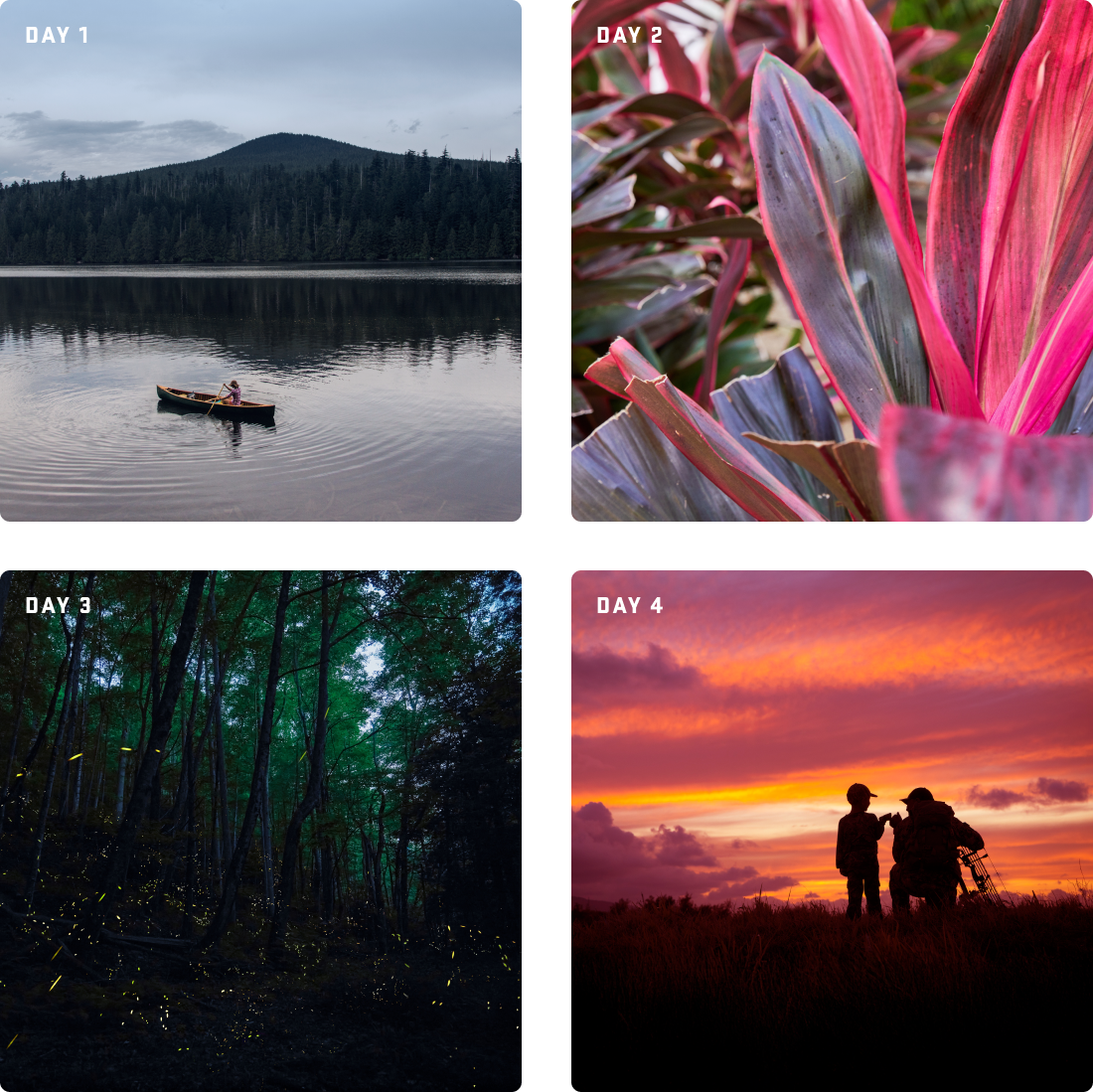 Four Days. Four Drops.