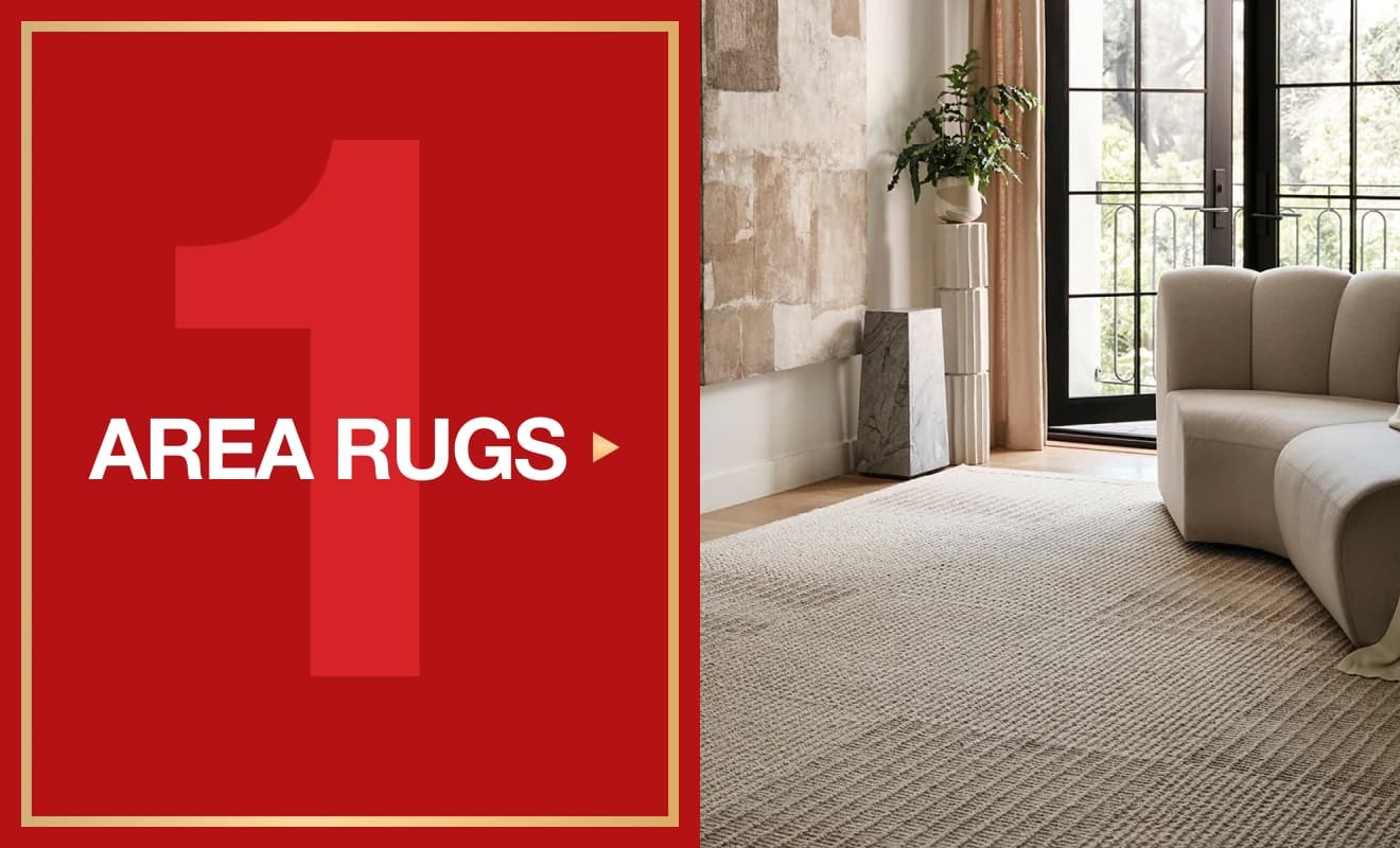 Shop Area Rugs on Sale