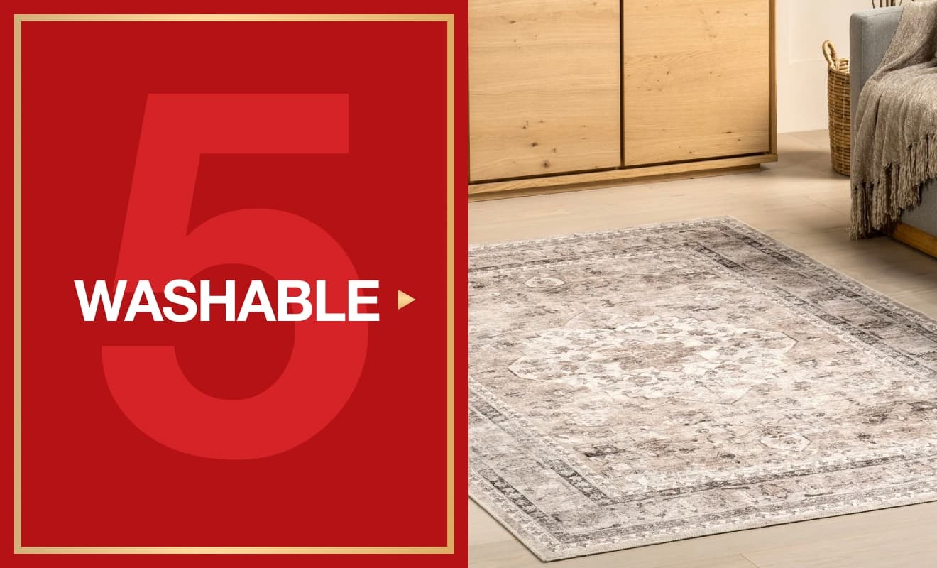 Shop Washable Rugs on Sale