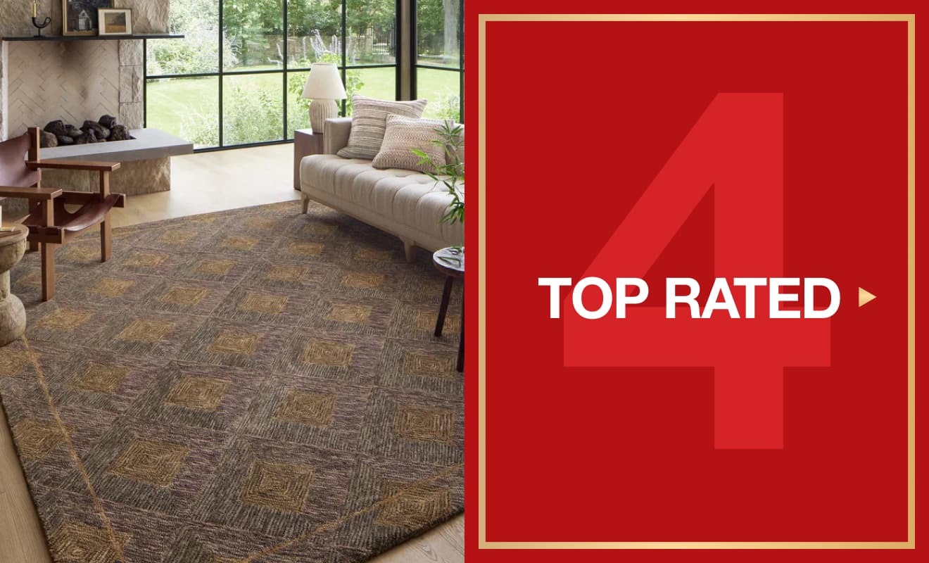 Shop Top Rated Rugs on Sale