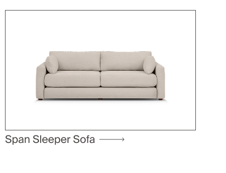 Span Sleeper Sofa