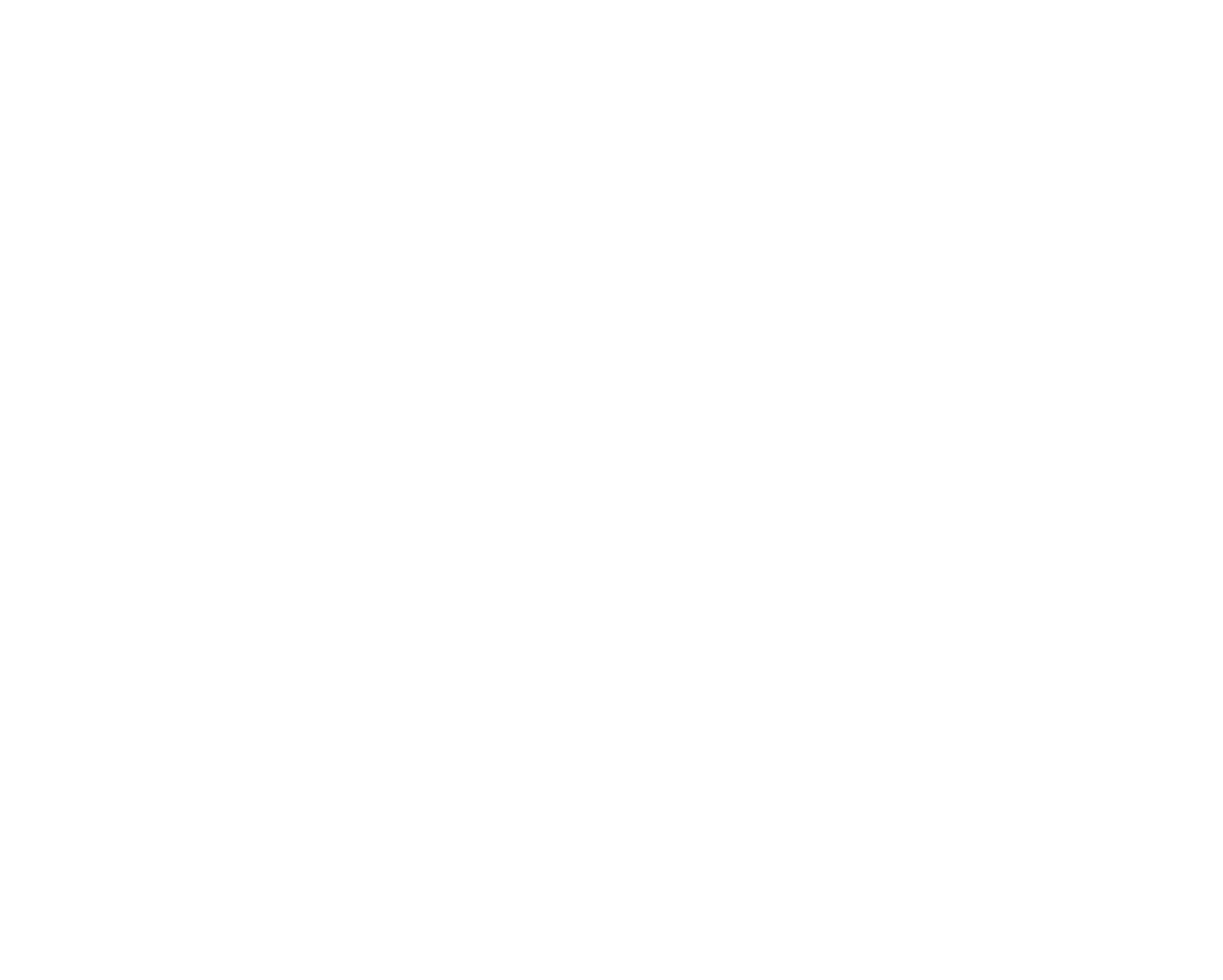 Leoforce White Logo
